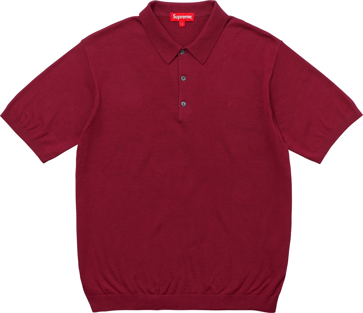 Knit Polo view 2